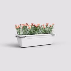 Artevasi Venezia Water Reserve Plant Box Kit Blanc 6 pièce(s)