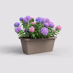 Artevasi Venezia Xl Plant Box 2 pièce(s)