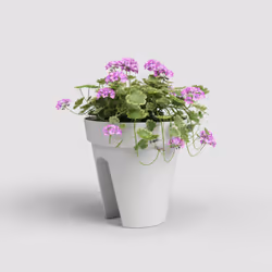 Artevasi Capri Balcony Pot Blanc 6 pièce(s)