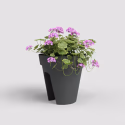 Artevasi Capri Balcony Pot Anthracite 6 pièce(s)