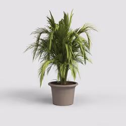 Artevasi Venezia Cilindro Pot 4 pièce(s)
