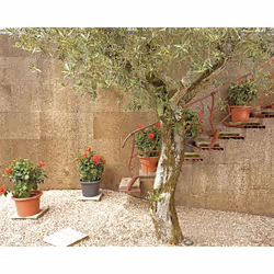 Artevasi Venezia Cilindro Pot 4 pièce(s) - Vue supplémentaire 8
