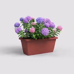 Artevasi Venezia Xl Plant Box Rouge 4 pièce(s)
