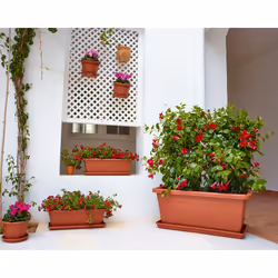 Artevasi Venezia Xl Plant Box Rouge 4 pièce(s) - Vue supplémentaire 4