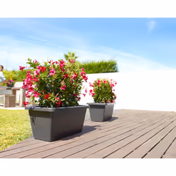 Artevasi Venezia Xl Plant Box Rouge 4 pièce(s) - Vue supplémentaire 6