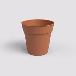 Artevasi Madagascar To Grow Pot, 3,2 L, 190 mm, 182 mm, 12 pièce(s)