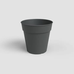 Artevasi Madagascar To Grow Pot Anthracite 12 pièce(s)