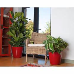 Artevasi San Remo Pot Blanc 1 pièce(s) - Vue supplémentaire 7