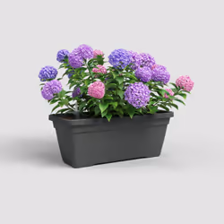 Artevasi Venezia L Plant Box Sws Anthracite 4 pièce(s)