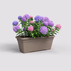 Artevasi Venezia L Plant Box Sws 4 pièce(s)