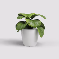 Artevasi San Remo Pot Blanc 4 pièce(s)