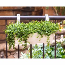 Artevasi Capri Balcony Triple Pot Blanc 4 pièce(s) - Vue supplémentaire 6