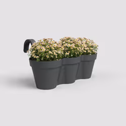 Artevasi Capri Balcony Triple Pot Anthracite 4 pièce(s)