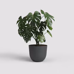 Artevasi Havana Natural Pot Anthracite 1 pièce(s)