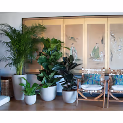 Artevasi Havana Natural Pot Anthracite 1 pièce(s)