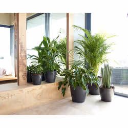 Artevasi San Remo Pot Anthracite 1 pièce(s)