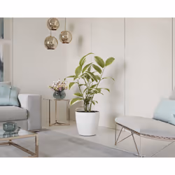 Artevasi San Remo Pot Anthracite 1 pièce(s) - Vue supplémentaire 6