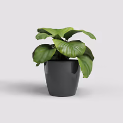 Artevasi San Remo Pot Anthracite 2 pièce(s)