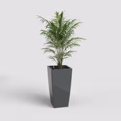 Artevasi Pisa Pot Sws Anthracite 1 pièce(s) - Vue supplémentaire 2