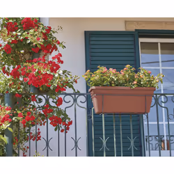 Artevasi Venezia L Plant Box Balcony Kit Sws Rouge 4 pièce(s)