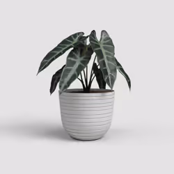 Artevasi Havana Horizon Pot Gris 1 pièce(s)
