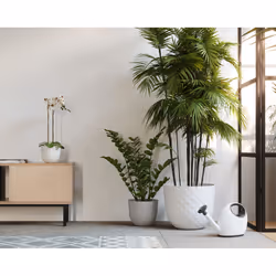 Artevasi Havana Tropical Pot Blanc 1 pièce(s)
