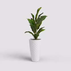 Artevasi Havana Tropical High Pot Blanc 1 pièce(s)