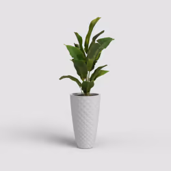 Artevasi Havana Tropical High Pot Gris 1 pièce(s)