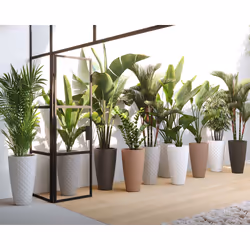 Artevasi Havana Tropical High Pot Gris 1 pièce(s)