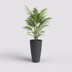 Artevasi Havana Natural High Pot Anthracite 1 pièce(s)