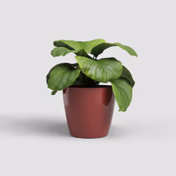 Artevasi San Remo Pot Rouge 4 pièce(s)
