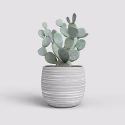 Artevasi Doris Pot Gris 4 pièce(s)