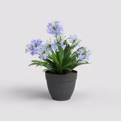 Artevasi Capri Campana Pot Anthracite 6 pièce(s)
