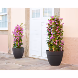 Artevasi Capri Campana Pot Blanc 6 pièce(s) - Vue supplémentaire 6