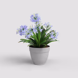 Artevasi Capri Campana Pot Gris 6 pièce(s)