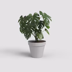 Artevasi Capri Pot Gris 12 pièce(s)