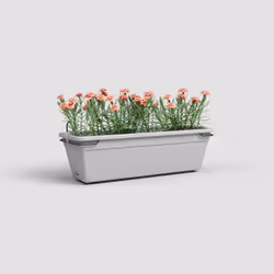Artevasi Venezia Water Reserve Plant Box Kit Gris 6 pièce(s)