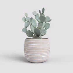 Artevasi Doris Pot Crème 6 pièce(s)