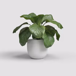 Artevasi Aura Pot Blanc 4 pièce(s)