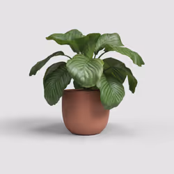 Artevasi Aura Pot 1 pièce(s)