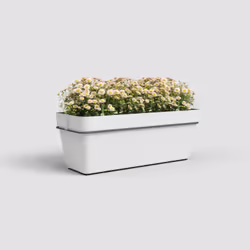 Artevasi Capri Plant Box Water Reserve Kit Blanc 6 pièce(s)