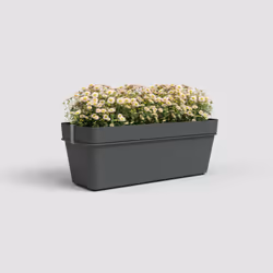 Artevasi Capri Plant Box Water Reserve Kit Anthracite 6 pièce(s)