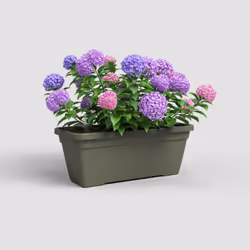 Artevasi Venezia L Plant Box Sws Vert 4 pièce(s)
