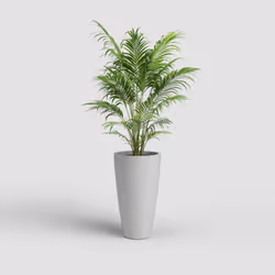 Artevasi Havana Natural High Pot Gris 1 pièce(s)