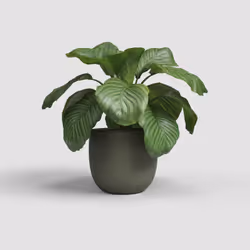 Artevasi Aura Pot Vert 4 pièce(s)