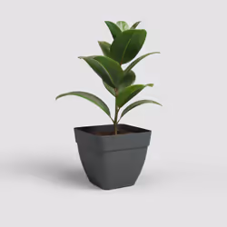 Artevasi Capri Campana Square Pot Anthracite 2 pièce(s)