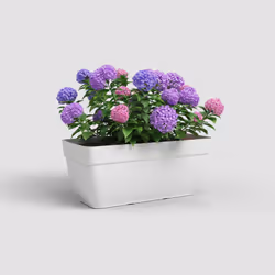 Artevasi Capri Campana Plant Box Xl Blanc 2 pièce(s)