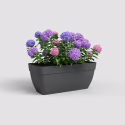 Artevasi Capri Campana Plant Box Xl Anthracite 2 pièce(s)