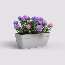 Artevasi Capri Campana Plant Box Xl Gris 2 pièce(s)