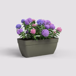Artevasi Capri Campana Plant Box Xl Vert 2 pièce(s)